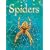 Spiders (Usborne Beginners)