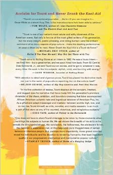 Kool aid essay 07 picture