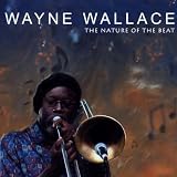 The Nature of the Beat
