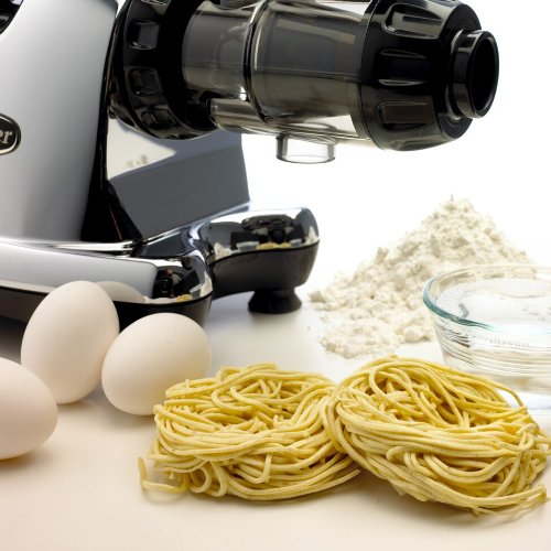 Omega J8005 Nutrition Center Single-Gear Commercial Masticating Juicer, Chrome and Black