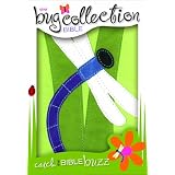 TheBugCollectionBible-Dragonfly