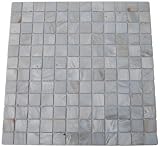 Mother Of Pearl Oyster White 1/4 Sheet Tiles Sample