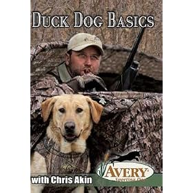 Avery Chris Akins Duck Dog Basics Hunting Dog Training Video