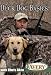 Avery Chris Akins Duck Dog Basics DVD