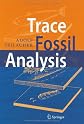 Trace Fossil Analysis
