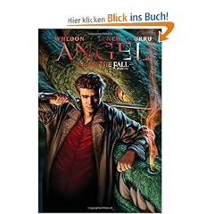 Angel: After The Fall Volume 1: After the Fall v. 1