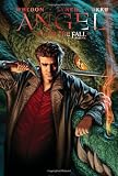 Angel: After the Fall Vol. 1