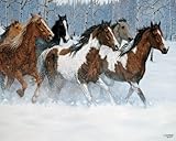 More White Mountain Puzzles Wild Beauty