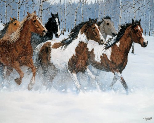 Image of White Mountain Puzzles Wild Beauty