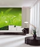 Fototapete Motivtapete Bildtapete Green Wiese Gras Pflanzen Gruener Hintergrund Gruen gruene Tapete - Wall Mural 8-Teilig - Lieferung inkl. Tapetenleim - Groesse 368 x 254 cm
