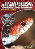 Die San-Francisco-Strumpfbandnatter: Thamnophis sirtalis tetrataenia - Martin Hallmen