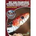 Die San-Francisco-Strumpfbandnatter: Thamnophis sirtalis tetrataenia