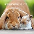 Kaninchen 2012. Brosch�renkalender 30 x 30 cm