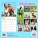Chihuahuas Calendar - 2015 Wall calendars - Dog Calendars - Monthly Wall Calendar by Magnum