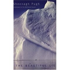 The Beautiful Lie