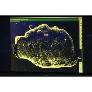 UFO Hunters Season 2: Area 51 Revealed movie