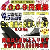 2009�N�V�t���� �Q�O�O�X�~���܁i�����p�j���i�͂T�_�ȏ����܂��B�i���v�s��3000�~�����j