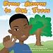 Search : From Acorns to Oak Trees (Boy)