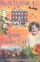 Josie Under Fire (Historical House)