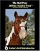 Book The Red Pony : A Unit Plan (Litplans on CD)