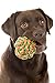 SafeGadgets New Multicolor & Multi Knots Rope Pet Toy Ball, Large. 100% natural & Free from Toxin.