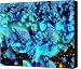 Orbital Debris Canvas Print - Canvas Art