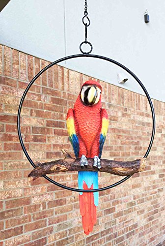Patio Home & Garden Hanging Scarlet Macaw Parrot Perching on Branch In Metal Round Ring Sculpture For Nature Lovers Tropical Bird Collectors