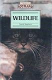 Wildlife