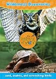 Wilderness Discoveries, Volume 1: Sand, Snakes, and Screeching Birds