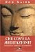 Che Cos'e la Meditaziome? Introduzione al Buddhismo e alla Meditazione by Rob Nairn ISBN 887972505X