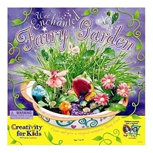 Enchanted Fairy Garden Kit