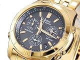 �J�V�I CASIO �E�F�[�u�Z�v�^�[ �d�g �r���v WVQ600GA-1A