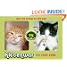 Kittenwar: The Card Game: May the Cutest Kitten Win!