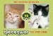 Books : Kittenwar Card Game: May the Cutest Kitten Win!