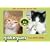 Kittenwar Card Game: May the Cutest Kitten Win!