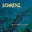 Hirnpause