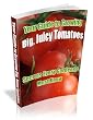 Growing Tomatoes: How To Grow Tomatoes That Are Big, Colorful, Juicy, And Tasty!