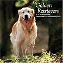 Golden Retrievers 2009 Wall Calendar (French Edition)