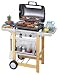 EXPERT 2 WOODY ADVANTAGE, Lavasteingasgrill