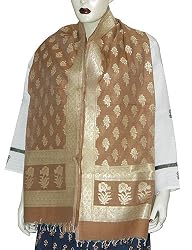 Elegant Scarves and Wraps Cotton Dress Accessories 22 x 70 inches