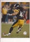 Pittsburgh Steelers Troy Polamalu 8X10 Photo File-In Action