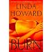 Burn: A Novel