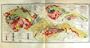 1935 Map Czechoslovakia Geologie Geology Tektonicka