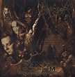 IX Equilibrium
