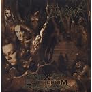 IX Equilibrium