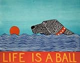 Life is a Ball - Black Labrador - Maple Frame