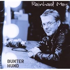 Bunter Hund