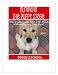 Surviving the Puppy Stage: How To Get Inside Your Dog's Mind Without Losing Your Own!