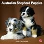 Australian Shepherd Puppies 2010 Square Wall (Multilingual Edition)