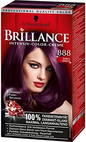 Brillance Intensive Color Creme 888 Dark Cherry